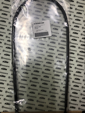 51502091200